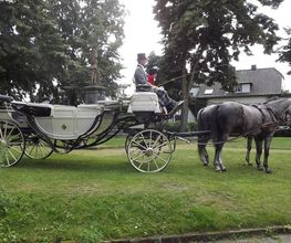 weisse Hochzeitskutsche mit Schimmelgespann