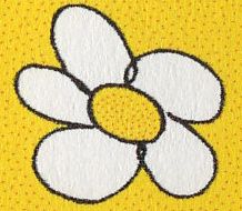 Weiße Blume mit gelbem Zentrum auf gelbem Hintergrund.