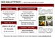 Infografik über Abluftsystem-Reinigung, 24/7-Service, 20 Jahre Erfahrung. Telefonnummer enthalten.