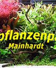 Wasserpflanzenparadies Mainhardt Logo