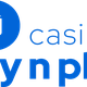 Blauw logo met tekst: "Pay n Play casinos" en een dobbelsteen in de letter "P".
