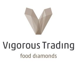 Vigorous Trading GmbH Logo