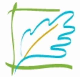 Abstraktes Blatt in Türkis und Grün umrahmt von dünnen Linien.