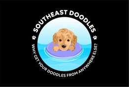 Cute puppy in a floaty with the text "Southeast Doodles" and "Why get your doodles from anywhere else?"