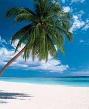 DRLuxuryRealEstate Logo