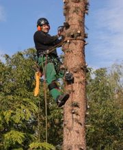 Baum- und Gartenpflege Logo