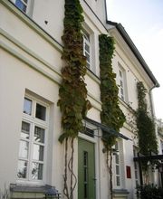 Yogaschule Tara Logo