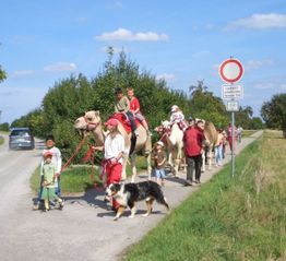 Menschen auf Kamelen und ein Hund auf einem ländlichen Weg, neben einem Verbotsschild.