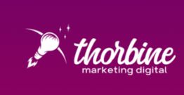 Thorbine – Agência de Marketing Digital em São Bento do Sul
