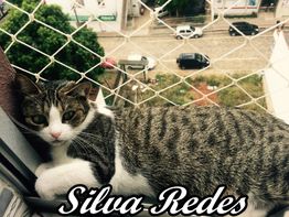 Gato deitado na janela com rede de proteção. Texto: "Silva Redes".