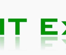 Green IT Experts UG Logo