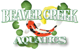 Text "Beaver Creek Aquatics" with a koi fish and water plants in the background.
