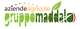 Logo di "Aziende Agricole Gruppo Maddalo" con testo colorato e foglia verde.