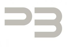 Grau-silbernes Logo mit stilisierten Buchstaben "P3" auf weißem Hintergrund.
