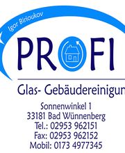 PROFI Glas- Gebäudereinigung Logo