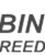 Binsack Reedtechnik GmbH Logo