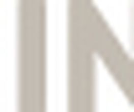Steinwelt Logo