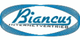 Blaues Logo mit dem Text „Biancus Internetvertrieb“ in einem ovalen Design.
