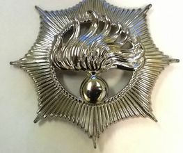 ALKRIS Detective Logo
