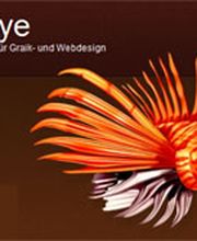 Fisheye-Grafik und Webdesign in Oldenburg