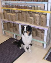 Buffy`s Bio-Schmankerl Logo