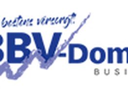 BBV - Domke Logo