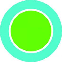 Grüner Kreis in der Mitte, umgeben von einem breiten cyanblauen Ring.