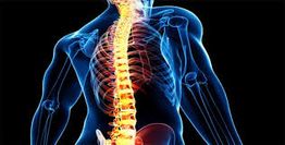 Imagen de una columna vertebral humana resaltada en amarillo sobre un cuerpo azul.