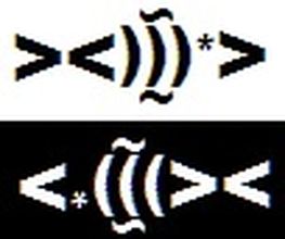 www.fischereischein-kurse-hamm.de Logo