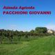 Vigneto sotto un cielo blu con il testo "Azienda Agricola PACCHIONI GIOVANNI" in rosso.