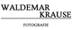 Ein stilisiertes schwarz-weißes Logo mit dem Text "Walt Disney Animation Studios".