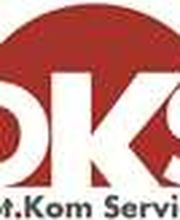 DKS Logo