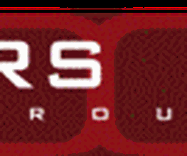 DOORS International Logo