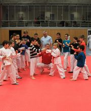 TSV Löchgau Karate Logo