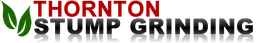 "Thornton Stump Grinding logo with green leaves and text reflection effect."