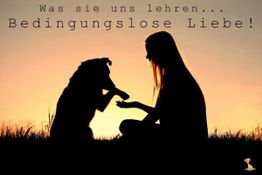Schattenriss eines Mädchens und eines Hundes bei Sonnenuntergang mit dem Text "Bedingungslose Liebe".