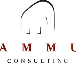 Mammut Consulting GmbH Logo