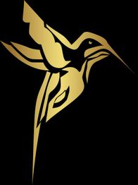 Goldene Kolibri-Grafik auf schwarzem Hintergrund.