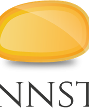 Brennstein GbR - Goldankauf Logo