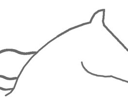 Logo VitalerePferde