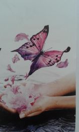 Hände halten rosa Blüten, während ein rosa Schmetterling darüber schwebt.