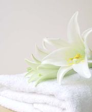 Wellnessoase Logo