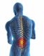 Transparent human silhouette with red highlighted lower spine, indicating back pain.