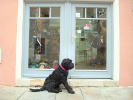 Schwarzer Hund mit rosa Halsband sitzt vor einem Ladenfenster mit Spielzeug und Accessoires.