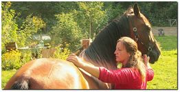 Frau in rotem Shirt streichelt ein braunes Pferd im Garten mit sonnigem Hintergrund.