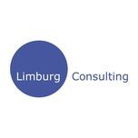 Blaues Logo mit dem Text "Limburg Consulting" auf weißem Hintergrund.