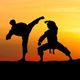 Silhouettes of two martial artists sparring against a sunset backdrop.