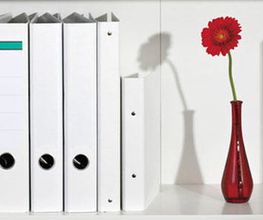 Ordner und rote Blume in Vase auf Regal.