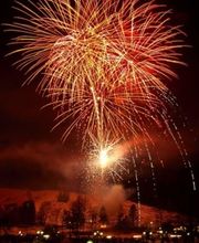 Die Profis in Aktion