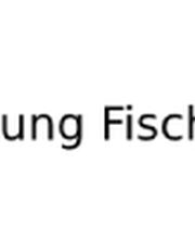 Rohrreinigung Fischer Logo